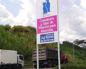 Población de mascotas en Medellín